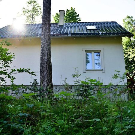 Gorski Domek Kolo Karpacza- Apartamentuj Экстерьер фото