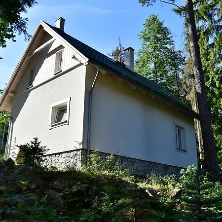 Gorski Domek Kolo Karpacza- Apartamentuj Экстерьер фото