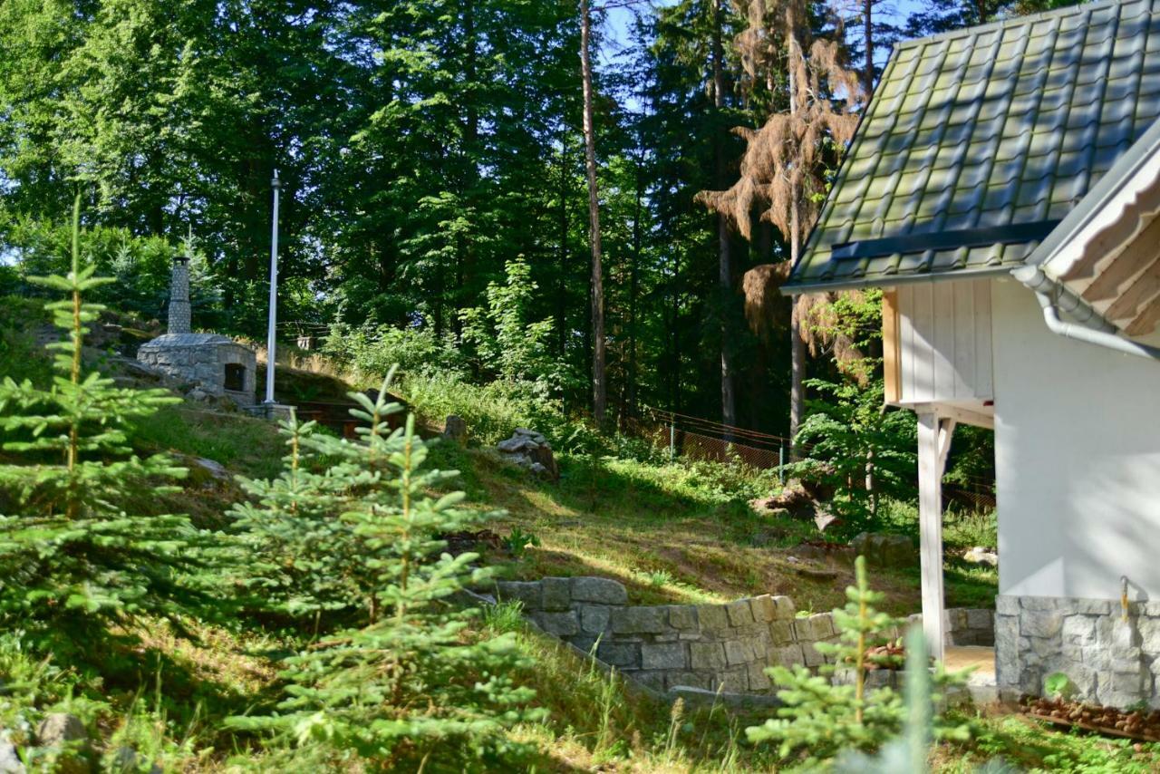 Gorski Domek Kolo Karpacza- Apartamentuj Экстерьер фото